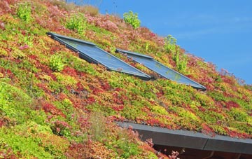 Bradley Stoke living roof systems